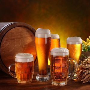 Meet your Posher, Terry